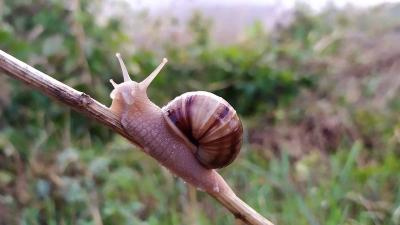 Прикрепленное изображение: IMG_20191005_172741.jpg